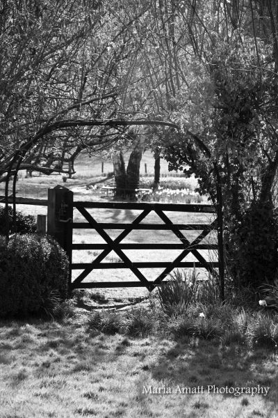 Old Thatch & The Millennium Barn